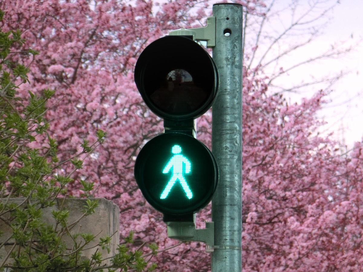 Tramwaj do Mistrzejowic z pozwoleniem na budowę